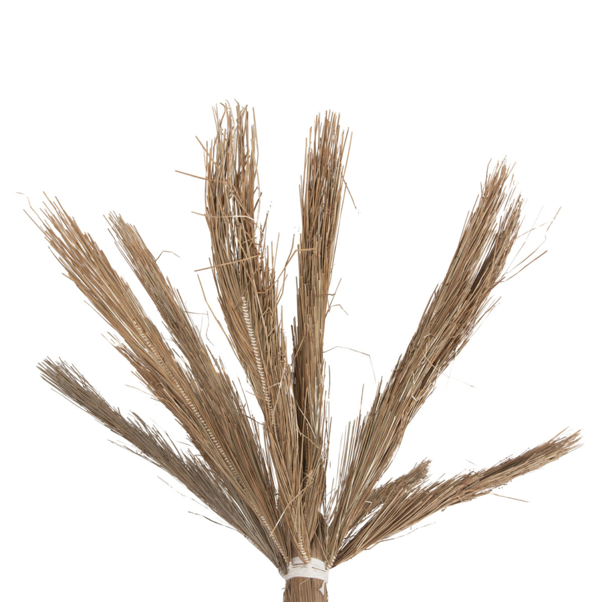 ΔΙΑΚΟΣΜΗΤΙΚΟ ΔΕΝΤΡΟ TROPIC HM4322 τ.ΦΟΙΝΙΚΑ ΑΠΟ MENDONG GRASS 360Yεκ. - Image 4