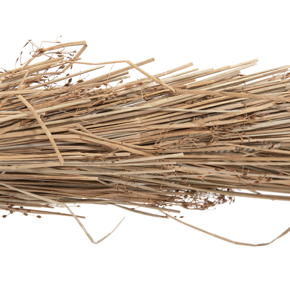 ΔΙΑΚΟΣΜΗΤΙΚΟ ΔΕΝΤΡΟ TROPIC HM4322 τ.ΦΟΙΝΙΚΑ ΑΠΟ MENDONG GRASS 360Yεκ. - Image 6