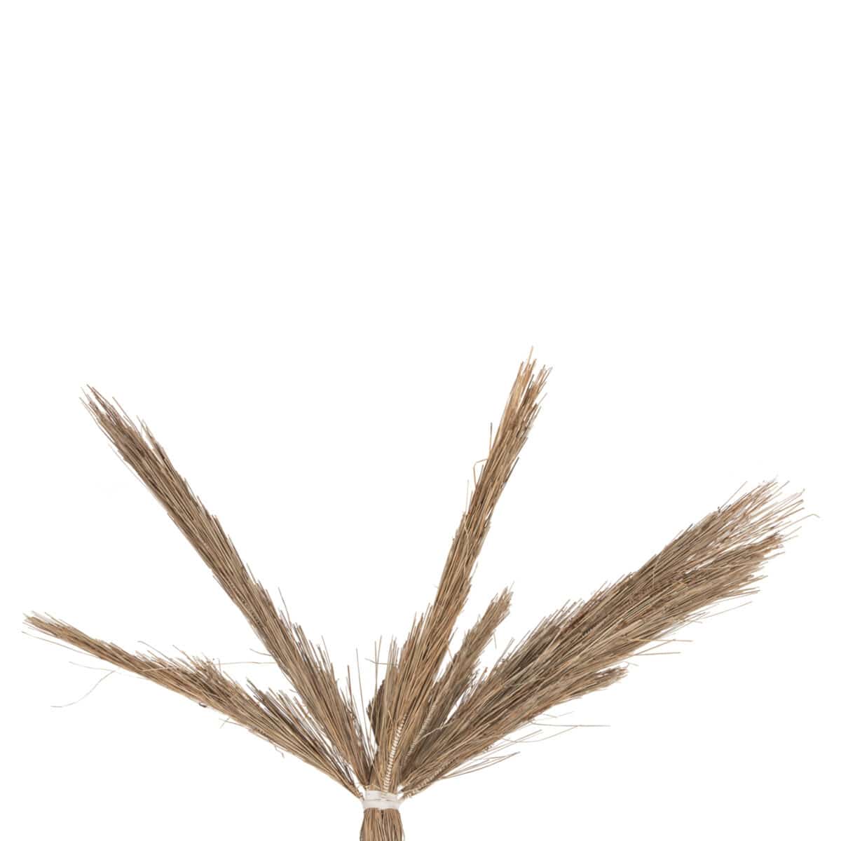 ΔΙΑΚΟΣΜΗΤΙΚΟ ΔΕΝΤΡΟ TROPIC HM4323 τ.ΦΟΙΝΙΚΑ ΑΠΟ MENDONG GRASS 310Yεκ. - Image 4