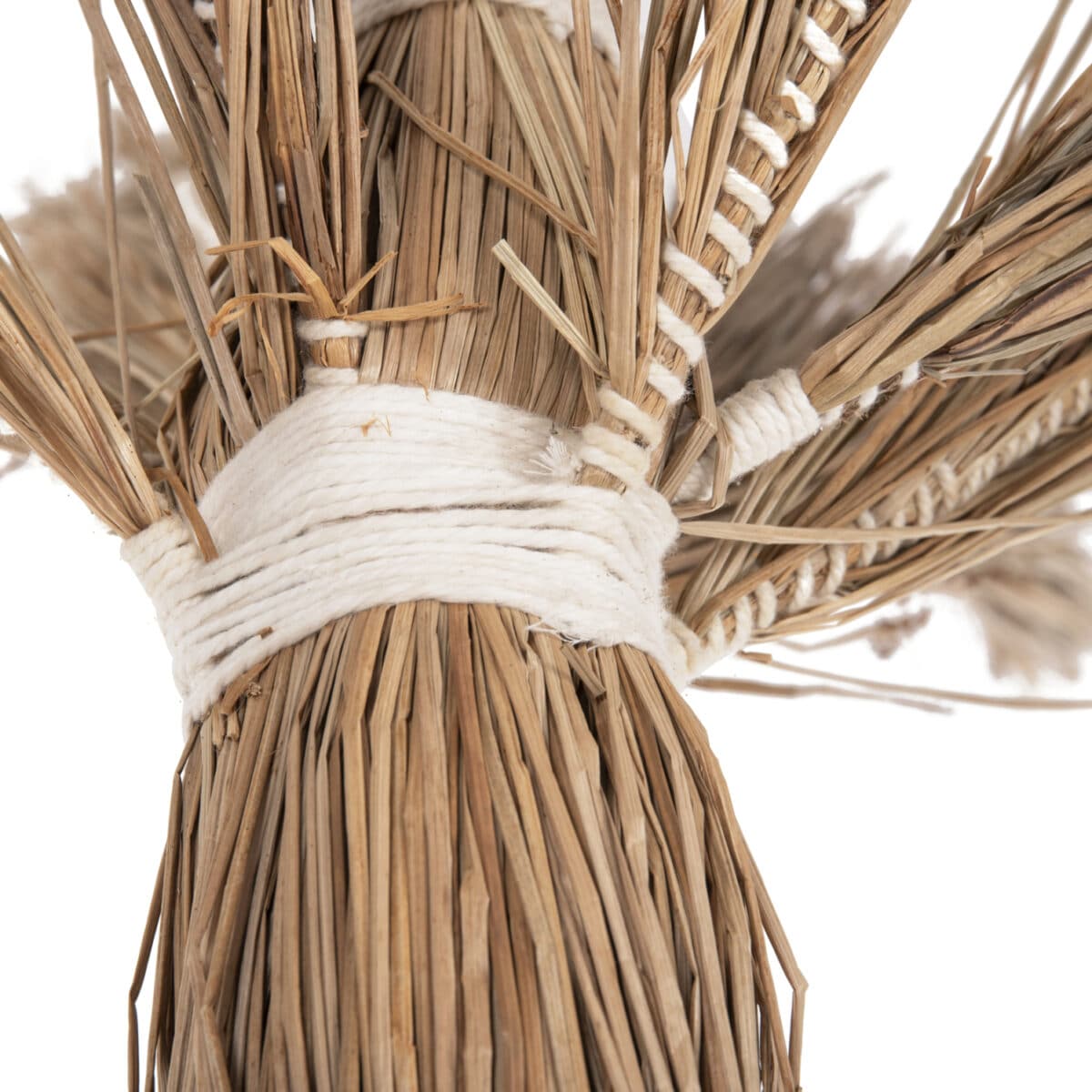 ΔΙΑΚΟΣΜΗΤΙΚΟ ΔΕΝΤΡΟ TROPIC HM4323 τ.ΦΟΙΝΙΚΑ ΑΠΟ MENDONG GRASS 310Yεκ. - Image 5