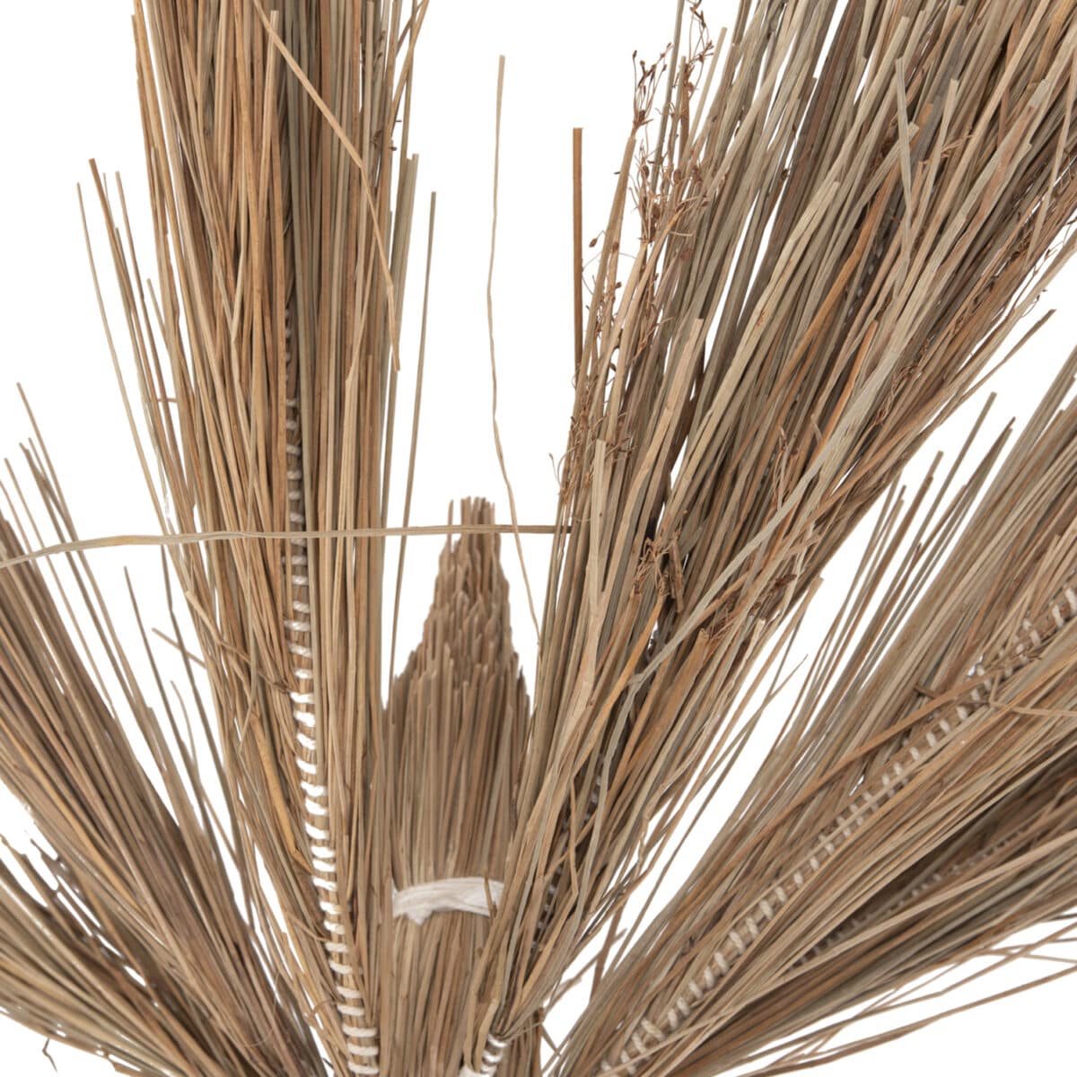 ΔΙΑΚΟΣΜΗΤΙΚΟ ΔΕΝΤΡΟ TROPIC HM4323 τ.ΦΟΙΝΙΚΑ ΑΠΟ MENDONG GRASS 310Yεκ. - Image 6