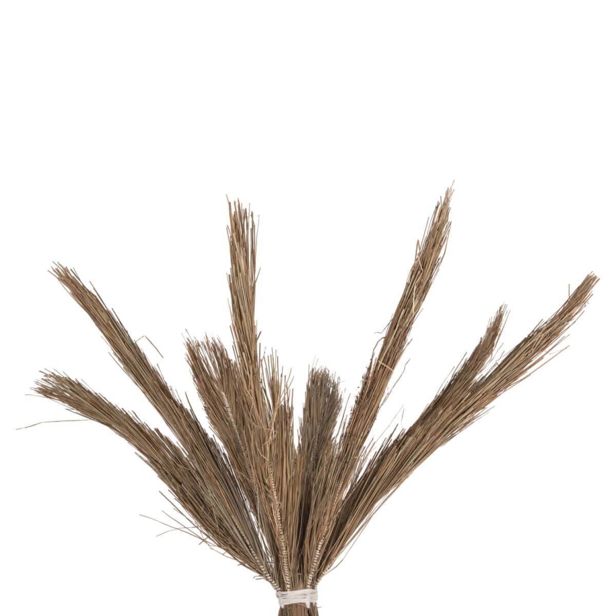 ΔΙΑΚΟΣΜΗΤΙΚΟ ΔΕΝΤΡΟ TROPIC HM4324 τ.ΦΟΙΝΙΚΑ ΑΠΟ MENDONG GRASS 280Yεκ. - Image 4