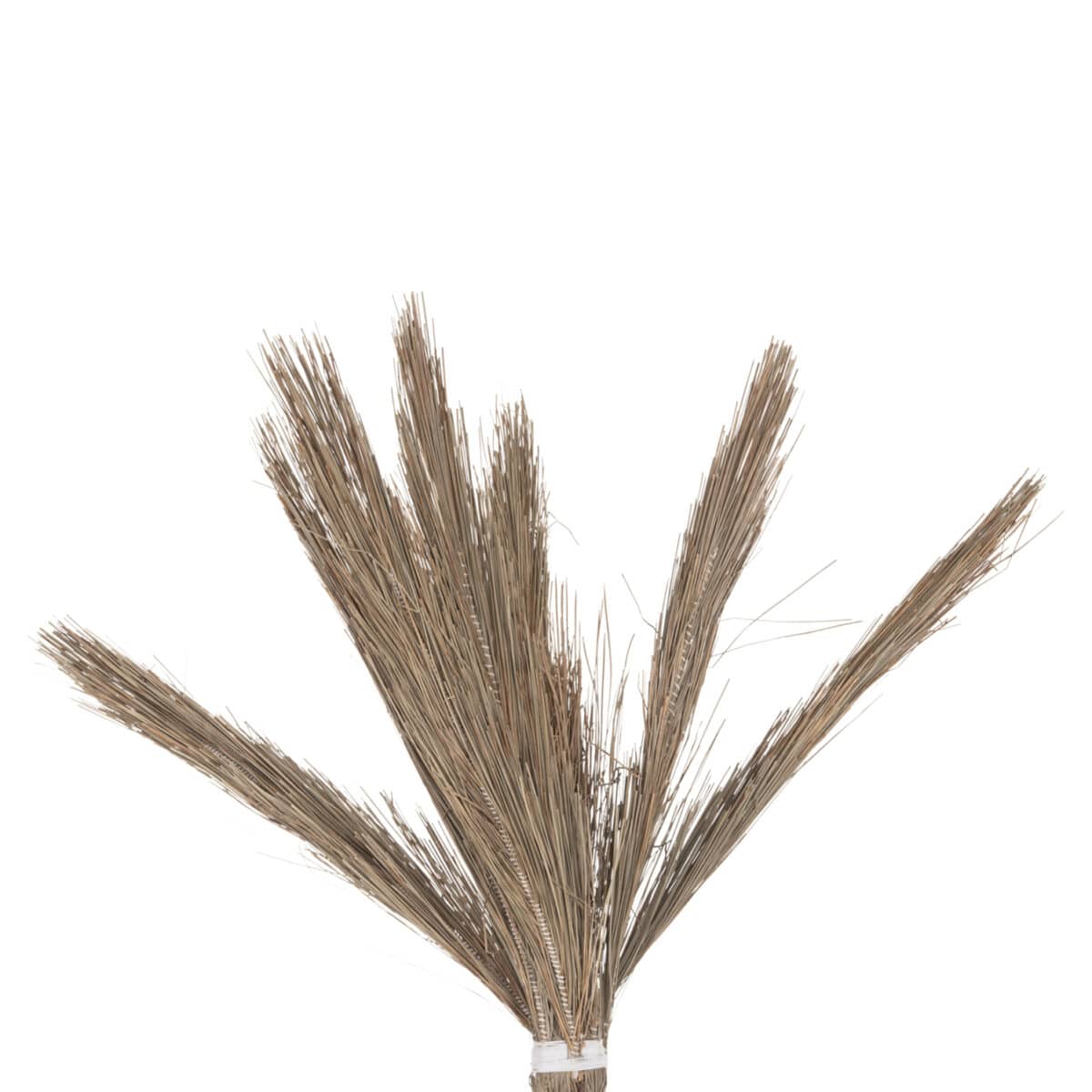 ΔΙΑΚΟΣΜΗΤΙΚΟ ΔΕΝΤΡΟ TROPIC HM4325 τ.ΦΟΙΝΙΚΑ ΑΠΟ MENDONG GRASS 210Yεκ. - Image 4