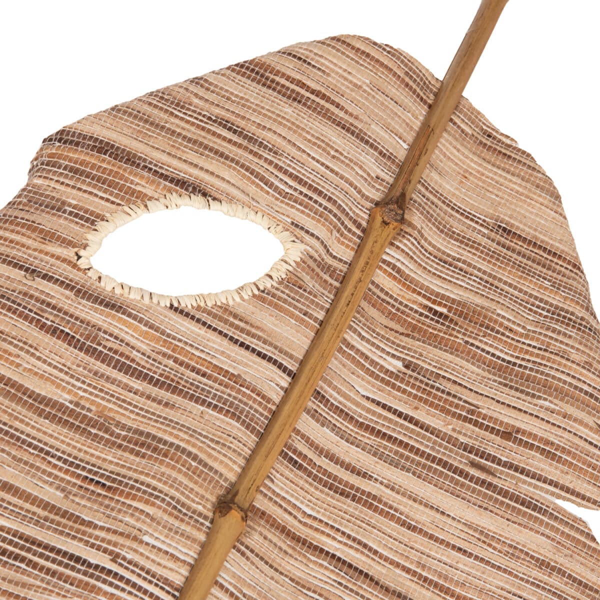 ΔΙΑΚΟΣΜΗΤΙΚΟ ΦΤΕΡΟ HM7872 ΥΔΡΟΥΑΚΙΝΘΟΣ ΣΕ ΦΥΣΙΚΗ ΑΠΟΧΡΩΣΗ 32x200x3 εκ. - Image 5