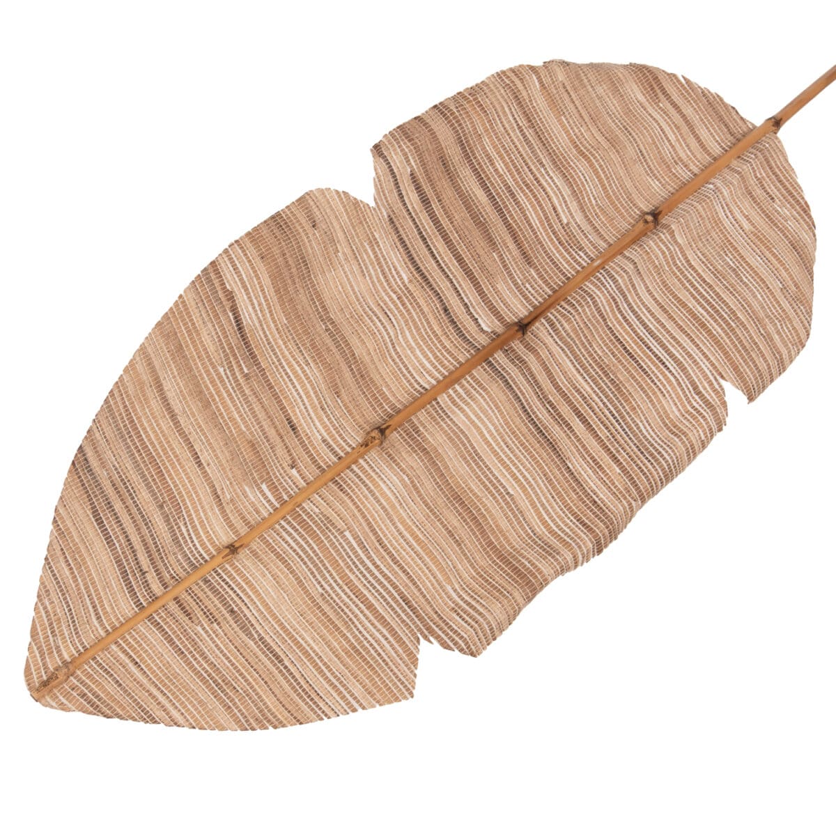 ΔΙΑΚΟΣΜΗΤΙΚΟ ΦΤΕΡΟ HM7873 ΥΔΡΟΥΑΚΙΝΘΟΣ ΣΕ ΦΥΣΙΚΗ ΑΠΟΧΡΩΣΗ 32x200x3 εκ. - Image 3