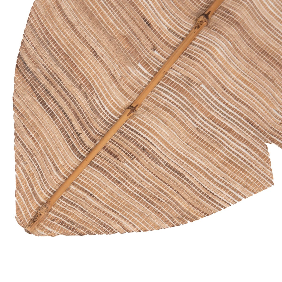 ΔΙΑΚΟΣΜΗΤΙΚΟ ΦΤΕΡΟ HM7873 ΥΔΡΟΥΑΚΙΝΘΟΣ ΣΕ ΦΥΣΙΚΗ ΑΠΟΧΡΩΣΗ 32x200x3 εκ. - Image 4