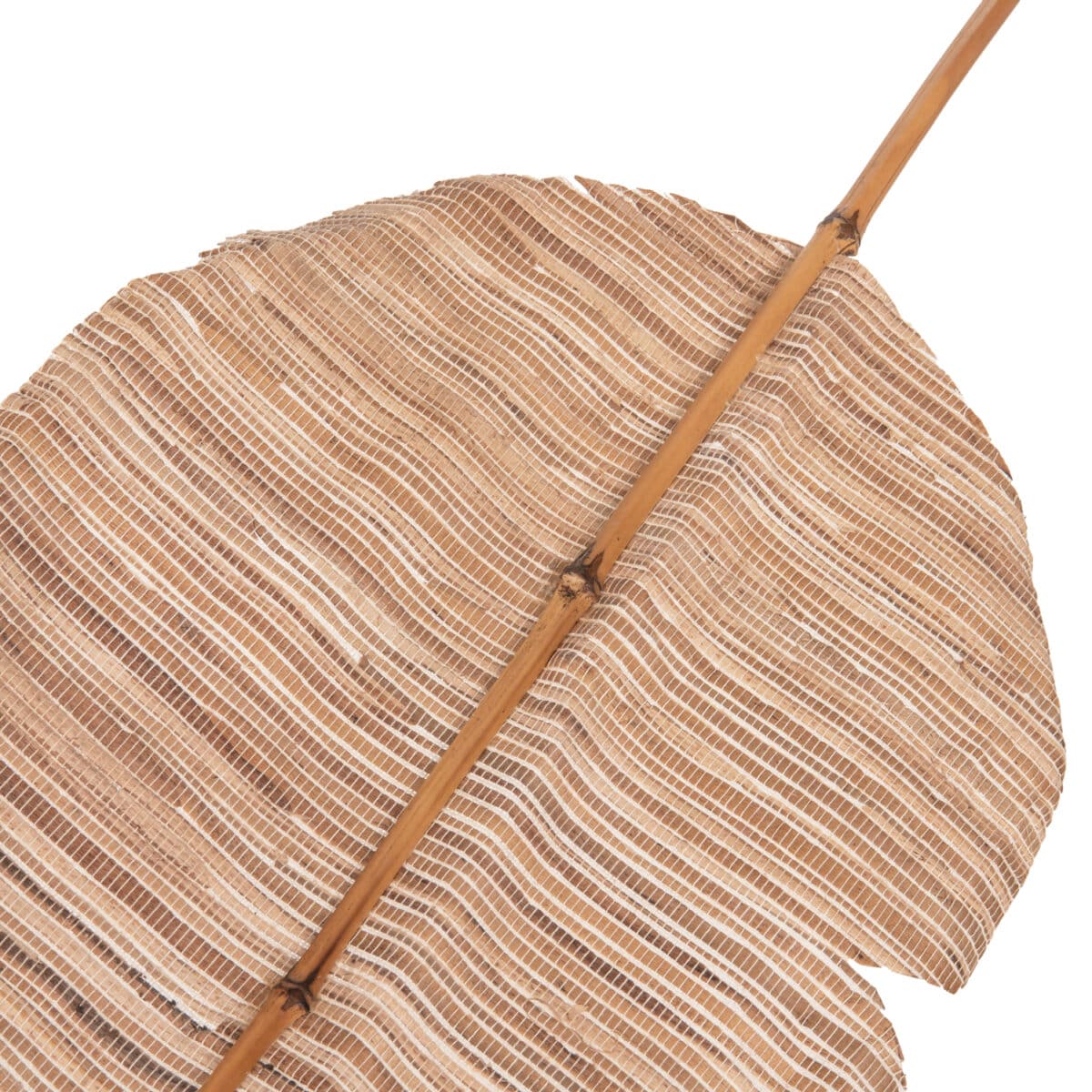 ΔΙΑΚΟΣΜΗΤΙΚΟ ΦΤΕΡΟ HM7873 ΥΔΡΟΥΑΚΙΝΘΟΣ ΣΕ ΦΥΣΙΚΗ ΑΠΟΧΡΩΣΗ 32x200x3 εκ. - Image 5