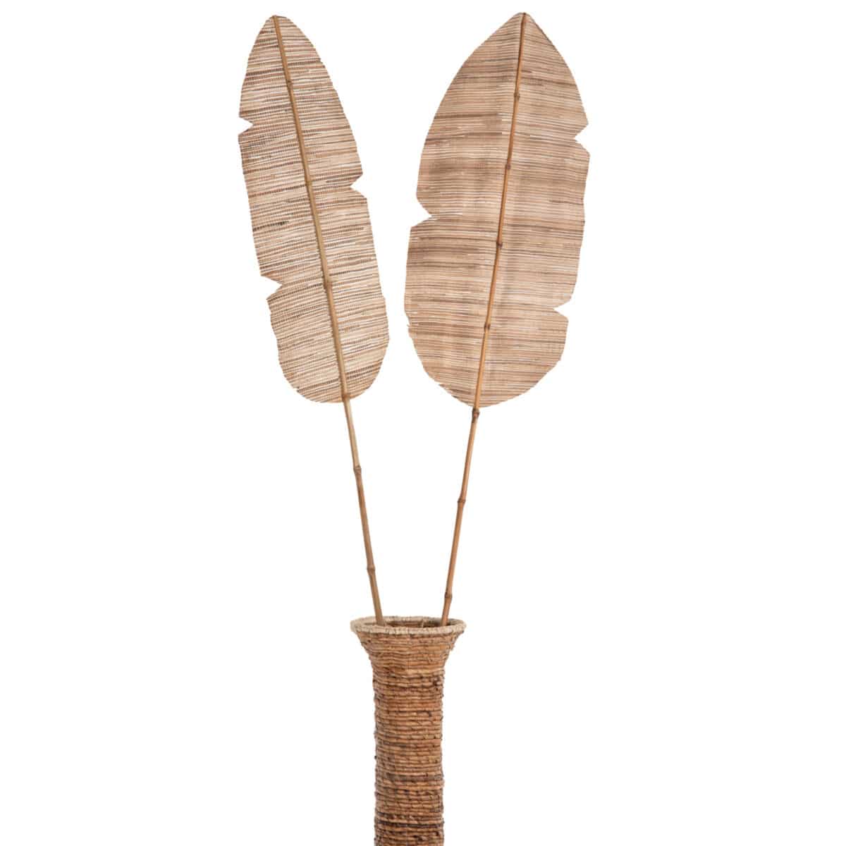 ΔΙΑΚΟΣΜΗΤΙΚΟ ΦΤΕΡΟ HM7873 ΥΔΡΟΥΑΚΙΝΘΟΣ ΣΕ ΦΥΣΙΚΗ ΑΠΟΧΡΩΣΗ 32x200x3 εκ. - Image 6