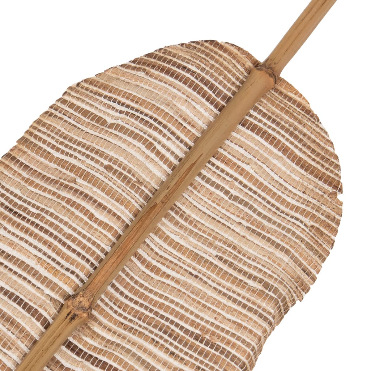 ΔΙΑΚΟΣΜΗΤΙΚΟ ΦΤΕΡΟ HM7874 ΥΔΡΟΥΑΚΙΝΘΟΣ ΣΕ ΦΥΣΙΚΗ ΑΠΟΧΡΩΣΗ 15x200x3 εκ. - Image 5