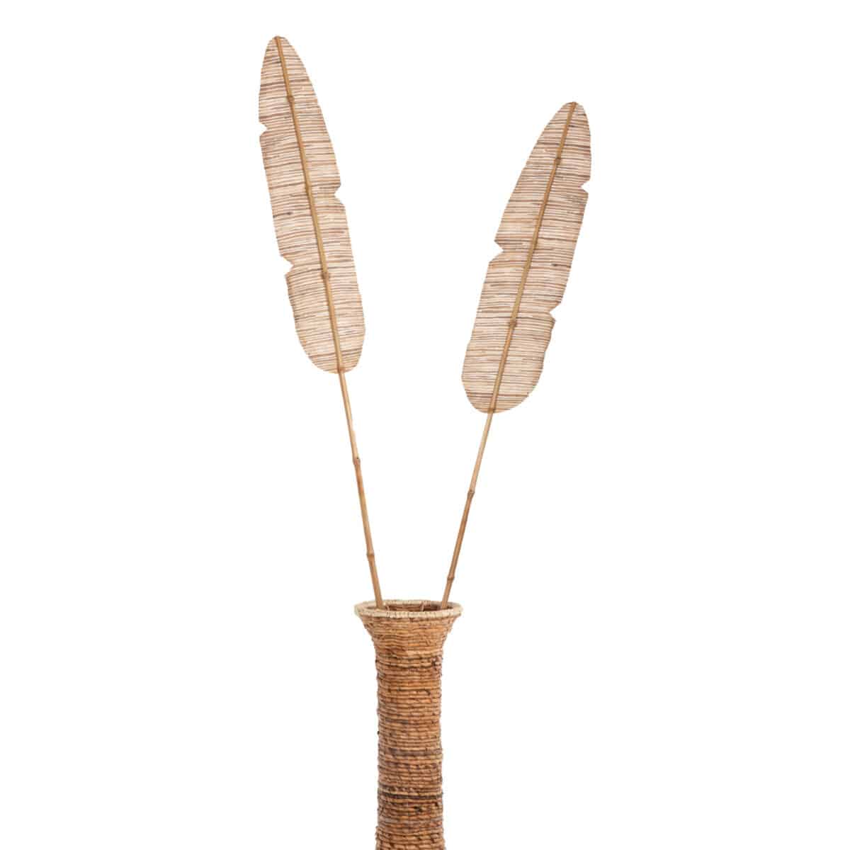 ΔΙΑΚΟΣΜΗΤΙΚΟ ΦΤΕΡΟ HM7874 ΥΔΡΟΥΑΚΙΝΘΟΣ ΣΕ ΦΥΣΙΚΗ ΑΠΟΧΡΩΣΗ 15x200x3 εκ. - Image 6