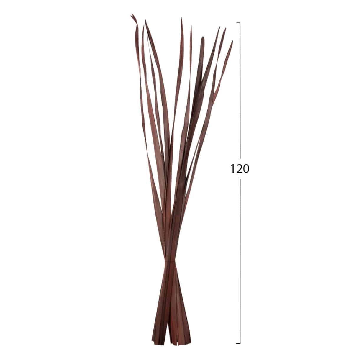 ΔΙΑΚΟΣΜΗΤΙΚΟ ΜΠΟΥΚΕΤΟ 10ΤΜΧ ΑΠΟΞΗΡΑΜΕΝΩΝ ΜΑΚΡΥΦΥΛΛΩΝ HM7965 ΚΑΦΕ 120Υεκ - Image 2