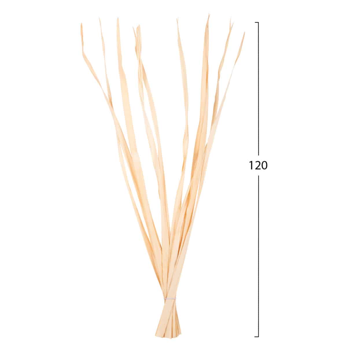 ΔΙΑΚΟΣΜΗΤΙΚΟ ΜΠΟΥΚΕΤΟ 10ΤΜΧ ΑΠΟΞΗΡΑΜΕΝΩΝ ΜΑΚΡΥΦΥΛΛΩΝ HM7964 ΦΥΣΙΚΟ 120Υεκ - Image 2