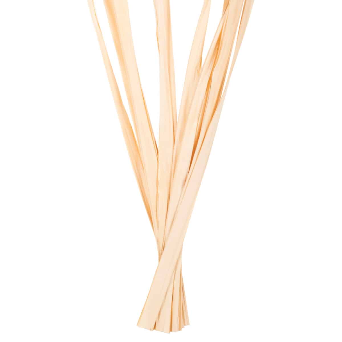 ΔΙΑΚΟΣΜΗΤΙΚΟ ΜΠΟΥΚΕΤΟ 10ΤΜΧ ΑΠΟΞΗΡΑΜΕΝΩΝ ΜΑΚΡΥΦΥΛΛΩΝ HM7964 ΦΥΣΙΚΟ 120Υεκ - Image 4