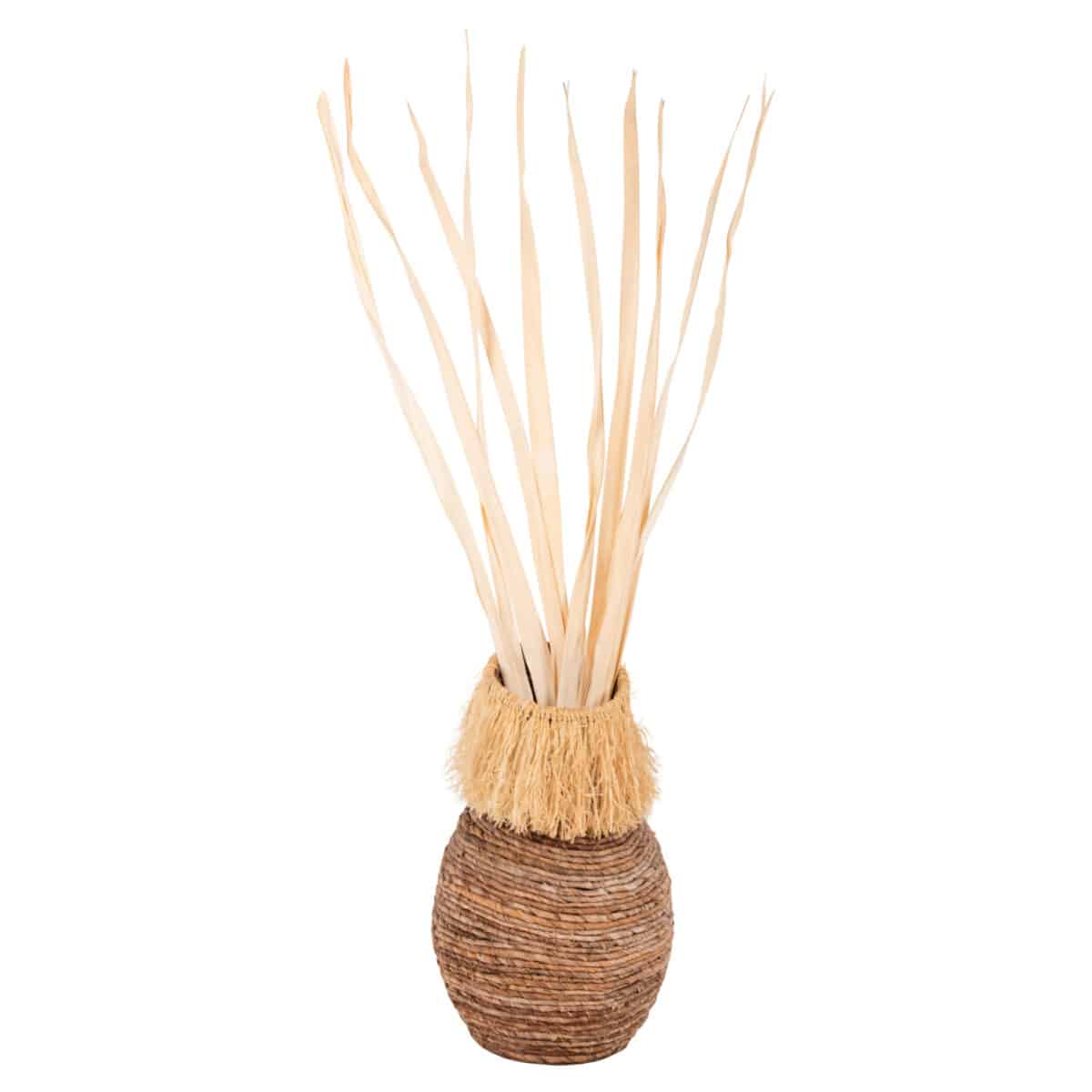 ΔΙΑΚΟΣΜΗΤΙΚΟ ΜΠΟΥΚΕΤΟ 10ΤΜΧ ΑΠΟΞΗΡΑΜΕΝΩΝ ΜΑΚΡΥΦΥΛΛΩΝ HM7964 ΦΥΣΙΚΟ 120Υεκ - Image 5