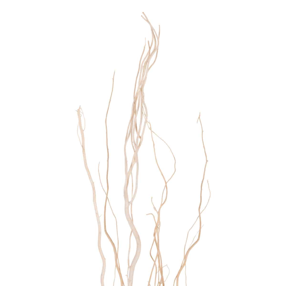 ΔΙΑΚΟΣΜΗΤΙΚΟ ΜΠΟΥΚΕΤΟ 5ΤΜΧ ΑΠΟΞΗΡΑΜΕΝΩΝ ΚΛΑΔΙΩΝ ΙΤΙΑΣ HM7966 ΕΚΡΟΥ 170Υεκ. - Image 3