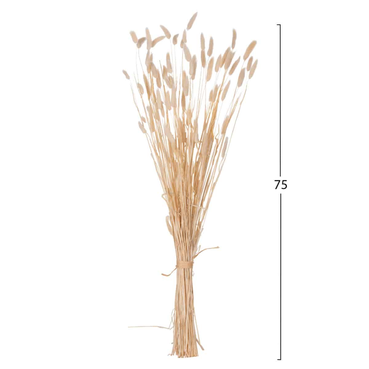 ΔΙΑΚΟΣΜΗΤΙΚΟ ΜΠΟΥΚΕΤΟ ΑΠΟΞΗΡΑΜΕΝΟ HM7959 RABBIT TAIL- CREAM 50gr 76Υεκ. - Image 2