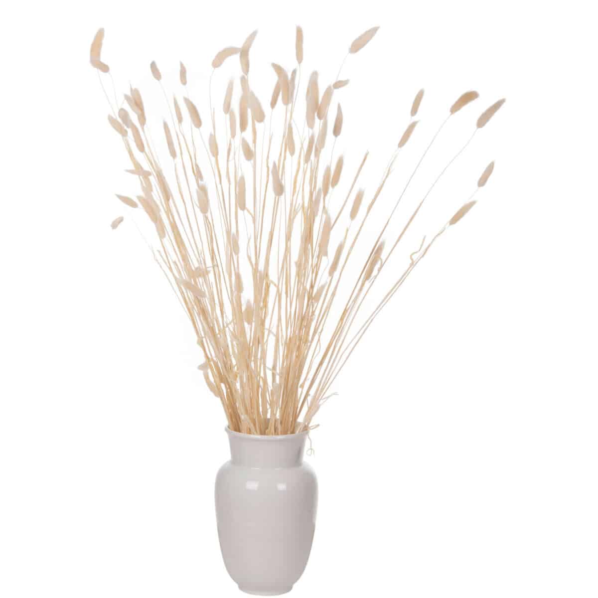 ΔΙΑΚΟΣΜΗΤΙΚΟ ΜΠΟΥΚΕΤΟ ΑΠΟΞΗΡΑΜΕΝΟ HM7959 RABBIT TAIL- CREAM 50gr 76Υεκ. - Image 5