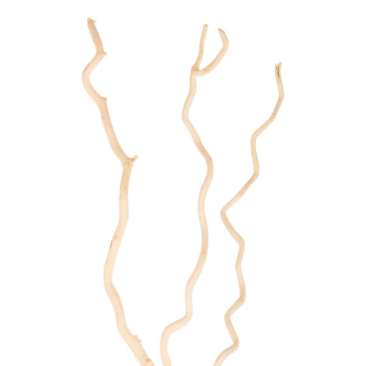 ΔΙΑΚΟΣΜΗΤΙΚΟ ΜΠΟΥΚΕΤΟ HM7967 3ΤΜΧ ΑΠΟΞΗΡΑΜΕΝΩΝ ΚΛΑΔΙΩΝ ΛΕΥΚΗΣ ΜΟΥΡΙΑΣ ΕΚΡΟΥ 180Υεκ. - Image 4