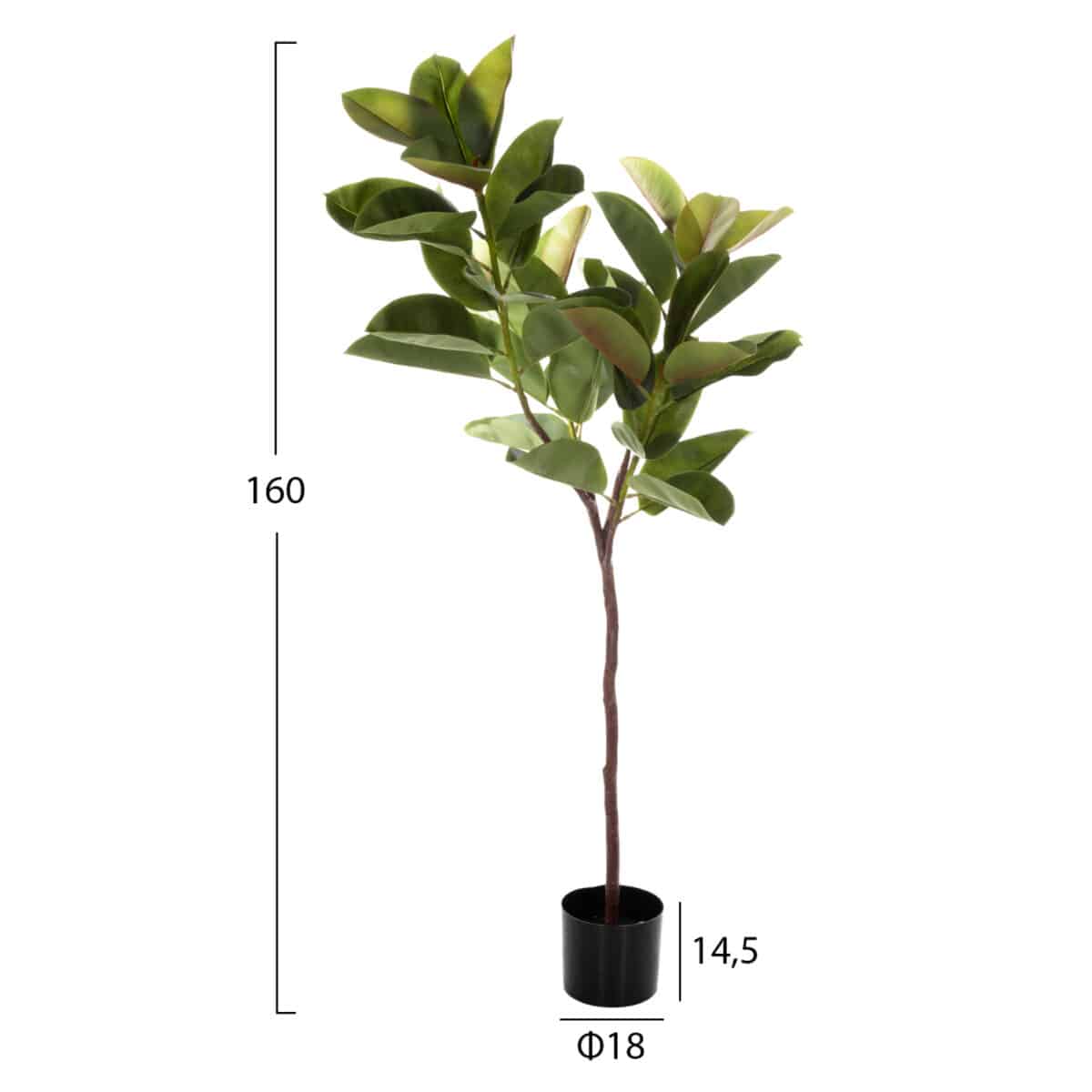 ΔΙΑΚΟΣΜΗΤΙΚΟ ΣΥΝΘΕΤΙΚΟ ΦΥΤΟ HM4000 ΔΡΥΣ ΣΕ ΓΛΑΣΤΡΑ Φ18x14,5-160Υεκ - Image 2