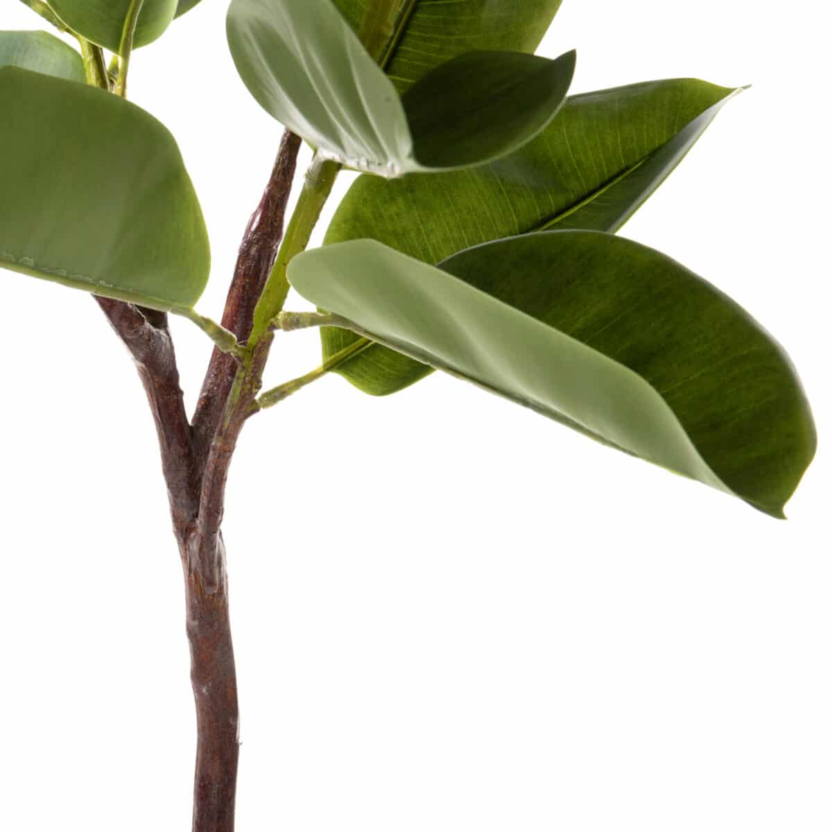 ΔΙΑΚΟΣΜΗΤΙΚΟ ΣΥΝΘΕΤΙΚΟ ΦΥΤΟ HM4000 ΔΡΥΣ ΣΕ ΓΛΑΣΤΡΑ Φ18x14,5-160Υεκ - Image 4