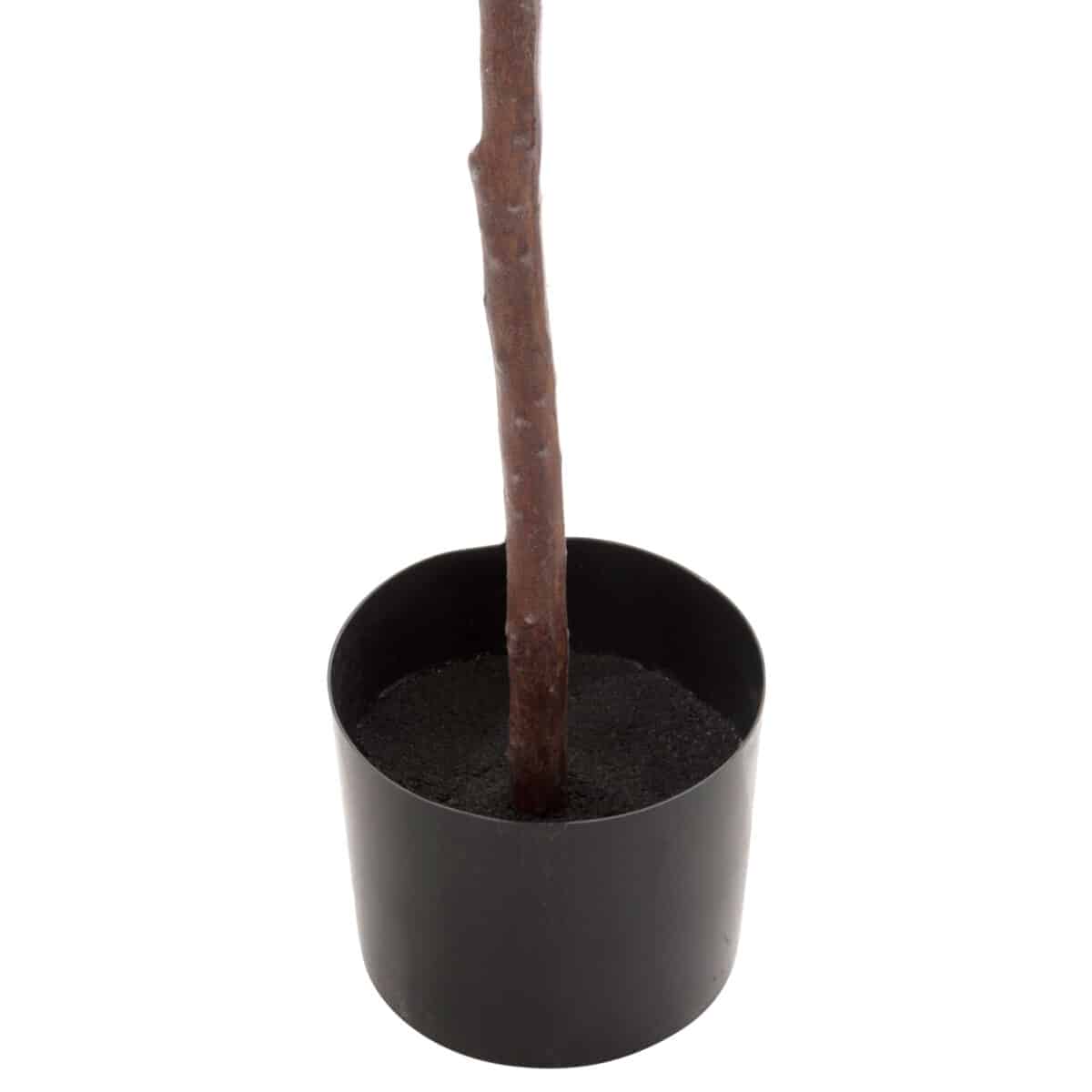 ΔΙΑΚΟΣΜΗΤΙΚΟ ΣΥΝΘΕΤΙΚΟ ΦΥΤΟ HM4000 ΔΡΥΣ ΣΕ ΓΛΑΣΤΡΑ Φ18x14,5-160Υεκ - Image 5