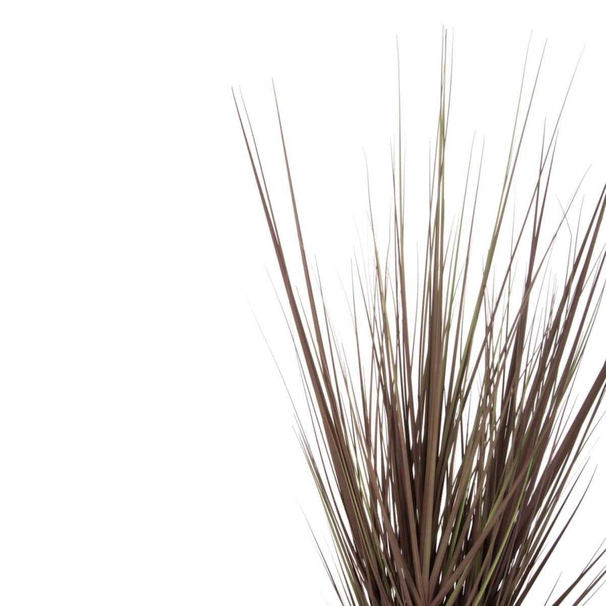 diakosmitiko-synthetiko-fyto-fb94011-gra-2 ΔΙΑΚΟΣΜΗΤΙΚΟ ΣΥΝΘΕΤΙΚΟ ΦΥΤΟ HM4011 GRASS ΣΕ ΓΛΑΣΤΡΑ 120Υεκ. - Image 3