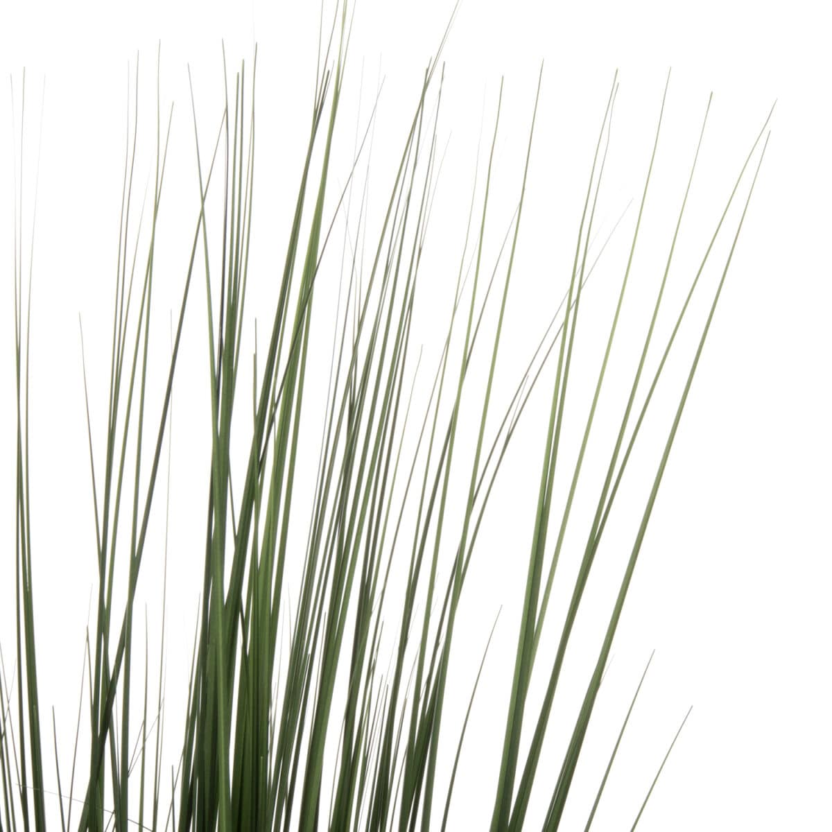 diakosmitiko-synthetiko-fyto-fb94012-gra-2 ΔΙΑΚΟΣΜΗΤΙΚΟ ΣΥΝΘΕΤΙΚΟ ΦΥΤΟ HM4012 GRASS ΣΕ ΓΛΑΣΤΡΑ 120Υεκ. - Image 3