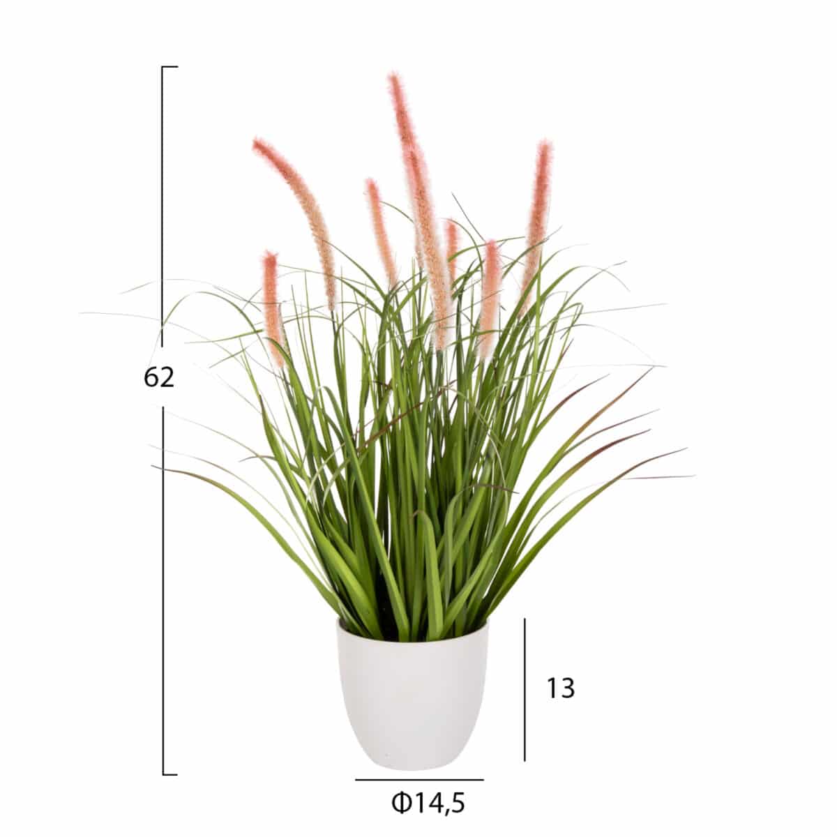 ΔΙΑΚΟΣΜΗΤΙΚΟ ΣΥΝΘΕΤΙΚΟ ΦΥΤΟ HM4029 BRISTLEGRASS ΣΕ ΓΛΑΣΤΡΑ Φ14,5x13-62Yεκ. - Image 2