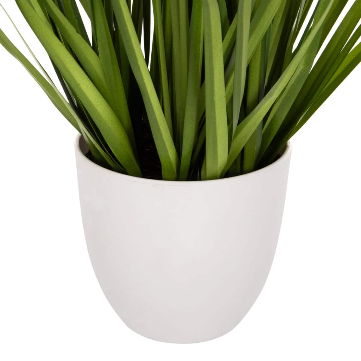 ΔΙΑΚΟΣΜΗΤΙΚΟ ΣΥΝΘΕΤΙΚΟ ΦΥΤΟ HM4029 BRISTLEGRASS ΣΕ ΓΛΑΣΤΡΑ Φ14,5x13-62Yεκ. - Image 4