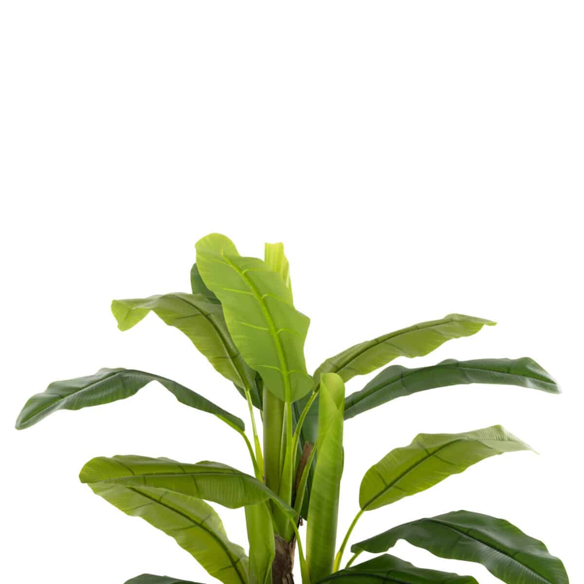 ΔΙΑΚΟΣΜΗΤΙΚΟ ΣΥΝΘΕΤΙΚΟ ΦΥΤΟ HM7968 ΔΕΝΤΡΟ ΜΠΑΝΑΝΑΣ ΣΕ ΓΛΑΣΤΡΑ 123Υεκ. - Image 3