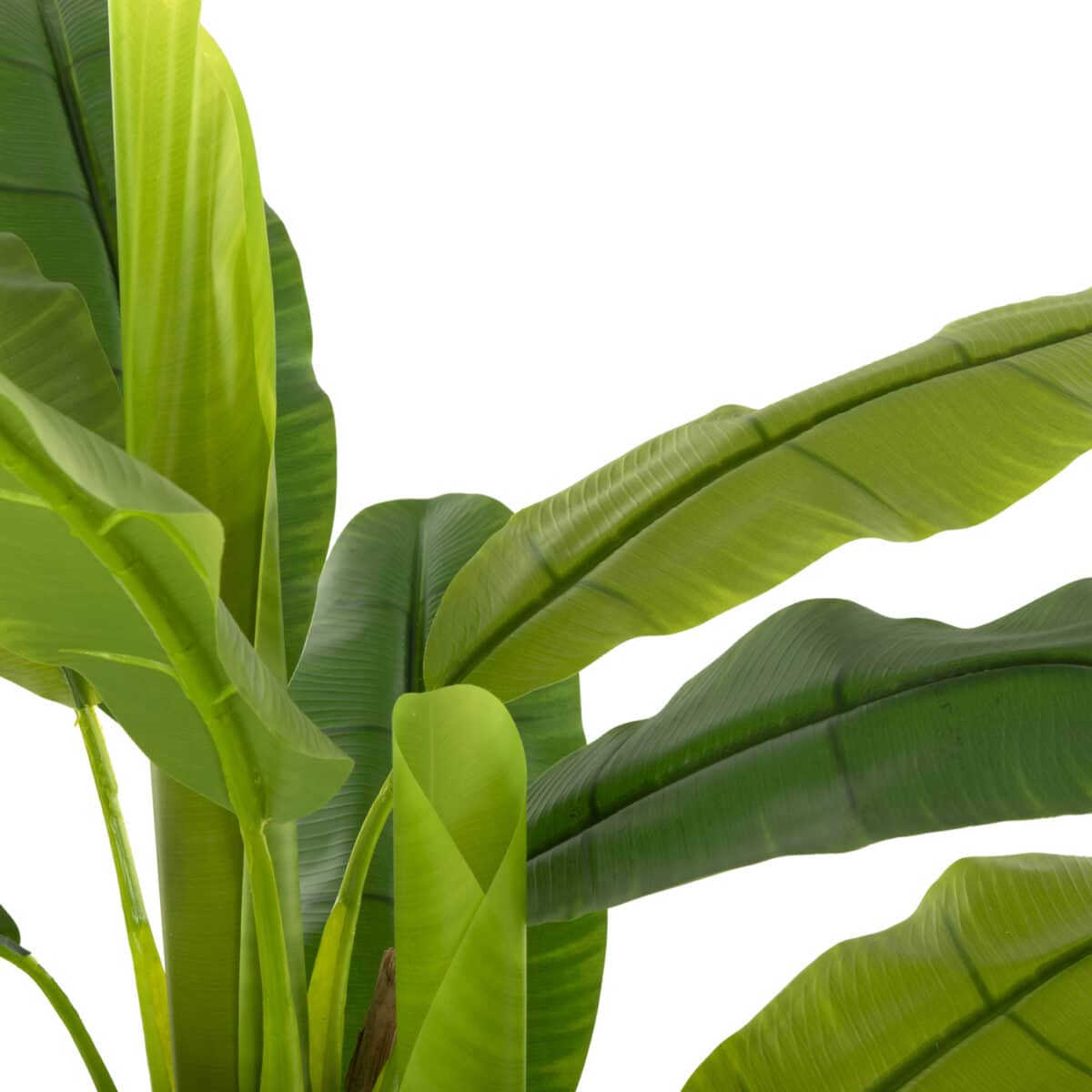 ΔΙΑΚΟΣΜΗΤΙΚΟ ΣΥΝΘΕΤΙΚΟ ΦΥΤΟ HM7968 ΔΕΝΤΡΟ ΜΠΑΝΑΝΑΣ ΣΕ ΓΛΑΣΤΡΑ 123Υεκ. - Image 4