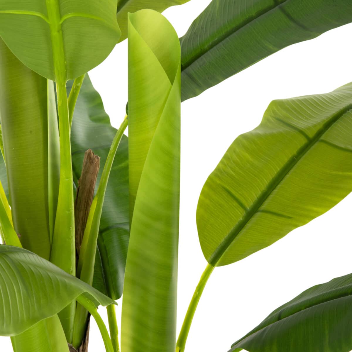 ΔΙΑΚΟΣΜΗΤΙΚΟ ΣΥΝΘΕΤΙΚΟ ΦΥΤΟ HM7968 ΔΕΝΤΡΟ ΜΠΑΝΑΝΑΣ ΣΕ ΓΛΑΣΤΡΑ 123Υεκ. - Image 6