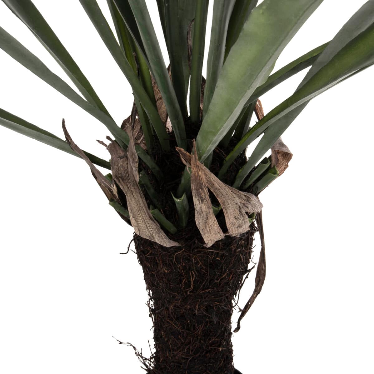 ΔΙΑΚΟΣΜΗΤΙΚΟ ΣΥΝΘΕΤΙΚΟ ΦΥΤΟ HM7975 ΑΣΠΛΕΝΙΟ (ΦΥΛΛΙΤΗΣ Ή ΦΤΕΡΗ) ΣΕ ΓΛΑΣΤΡΑ 137Υεκ. - Image 4