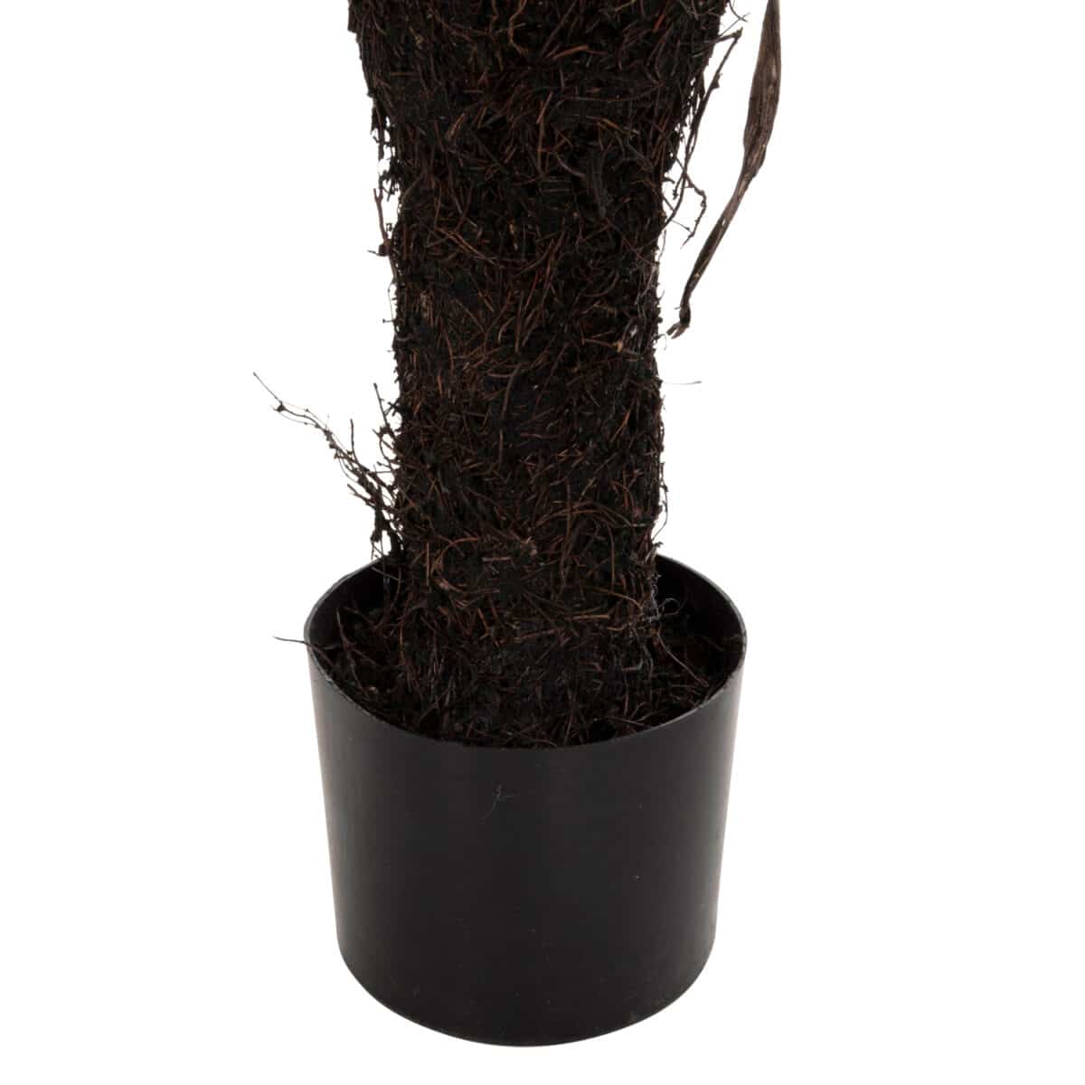 ΔΙΑΚΟΣΜΗΤΙΚΟ ΣΥΝΘΕΤΙΚΟ ΦΥΤΟ HM7975 ΑΣΠΛΕΝΙΟ (ΦΥΛΛΙΤΗΣ Ή ΦΤΕΡΗ) ΣΕ ΓΛΑΣΤΡΑ 137Υεκ. - Image 5