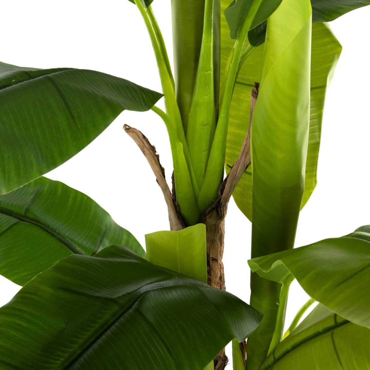 ΔΙΑΚΟΣΜΗΤΙΚΟ ΣΥΝΘΕΤΙΚΟ ΦΥΤΟ HM7977 ΔΕΝΤΡΟ ΜΠΑΝΑΝΑΣ ΣΕ ΓΛΑΣΤΡΑ 150Υεκ. - Image 4