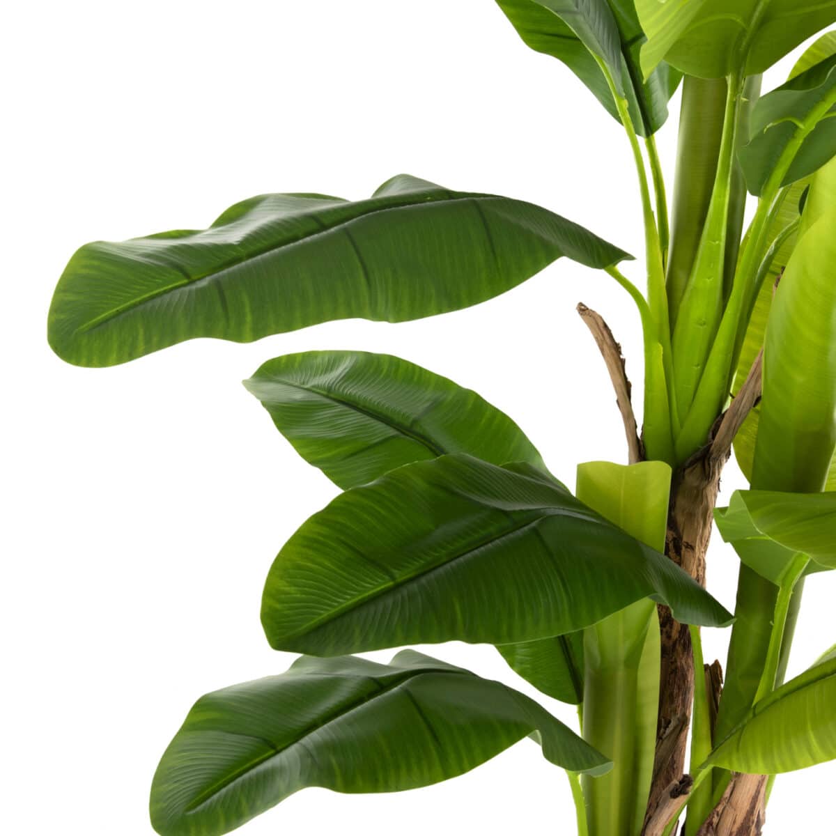 ΔΙΑΚΟΣΜΗΤΙΚΟ ΣΥΝΘΕΤΙΚΟ ΦΥΤΟ HM7977 ΔΕΝΤΡΟ ΜΠΑΝΑΝΑΣ ΣΕ ΓΛΑΣΤΡΑ 150Υεκ. - Image 5