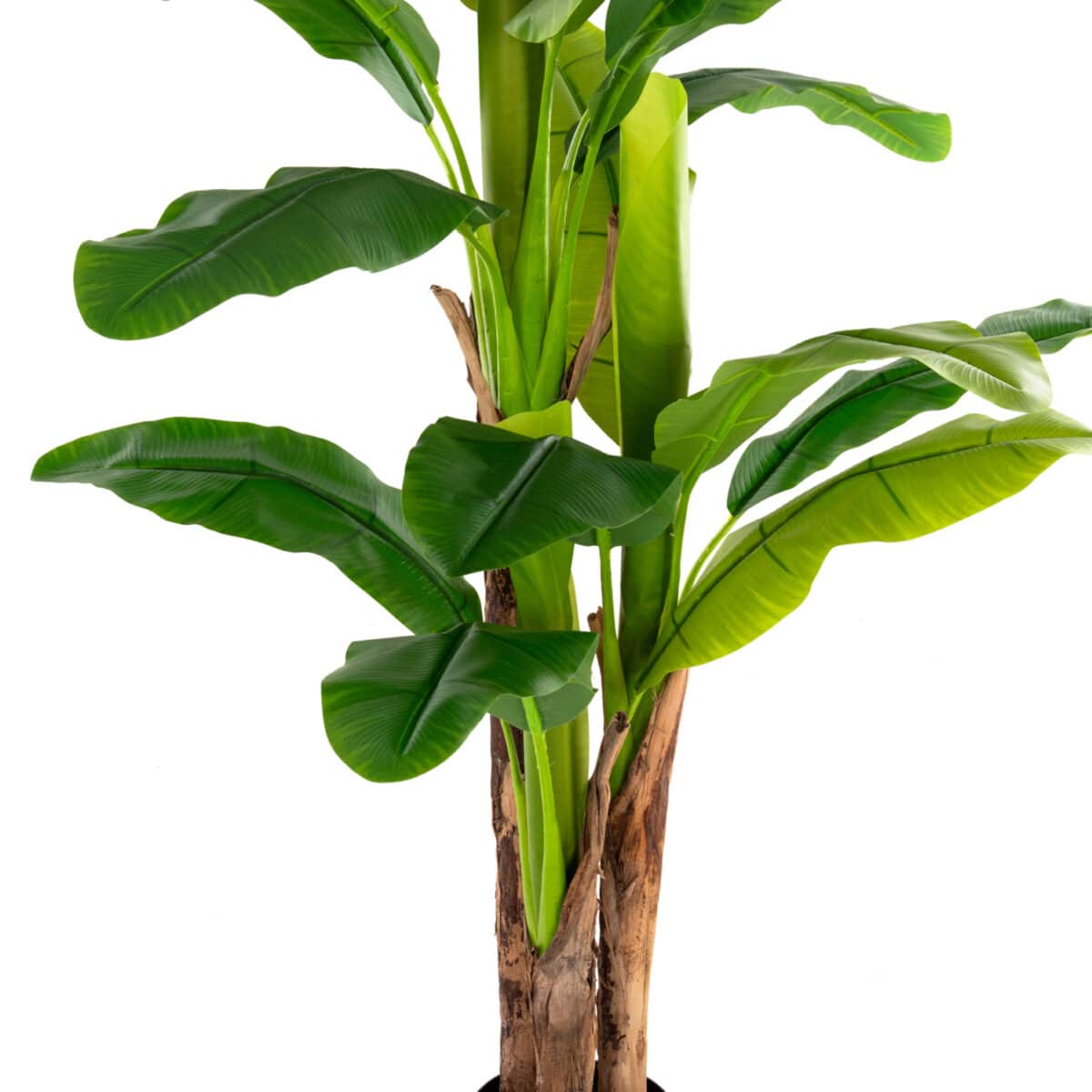 ΔΙΑΚΟΣΜΗΤΙΚΟ ΣΥΝΘΕΤΙΚΟ ΦΥΤΟ HM7977 ΔΕΝΤΡΟ ΜΠΑΝΑΝΑΣ ΣΕ ΓΛΑΣΤΡΑ 150Υεκ. - Image 6