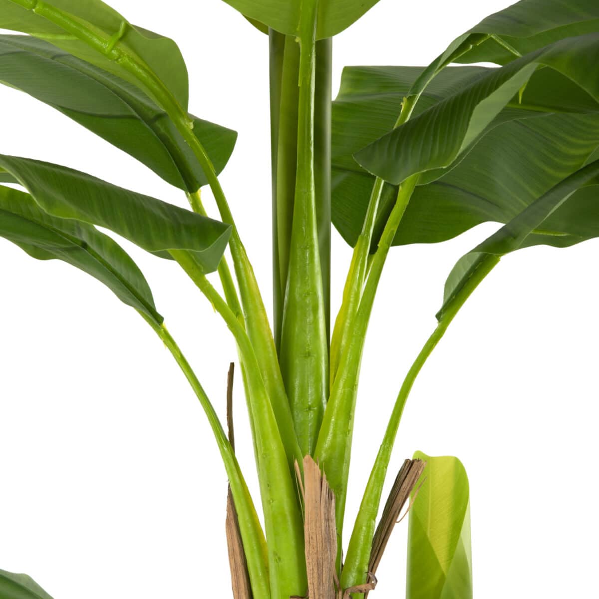 ΔΙΑΚΟΣΜΗΤΙΚΟ ΣΥΝΘΕΤΙΚΟ ΦΥΤΟ HM7978 ΔΕΝΤΡΟ ΜΠΑΝΑΝΑΣ ΣΕ ΓΛΑΣΤΡΑ 200Υεκ. - Image 5