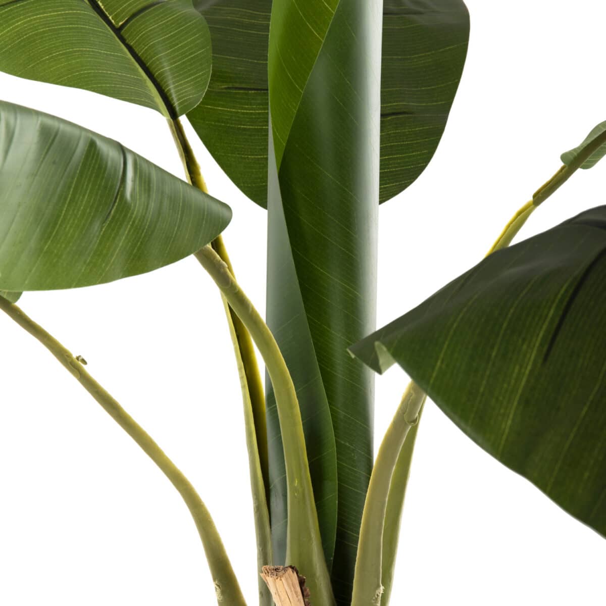 ΔΙΑΚΟΣΜΗΤΙΚΟ ΣΥΝΘΕΤΙΚΟ ΦΥΤΟ HM7979 ΔΕΝΤΡΟ ΜΠΑΝΑΝΑΣ (1) ΣΕ ΓΛΑΣΤΡΑ 180Υεκ. - Image 6