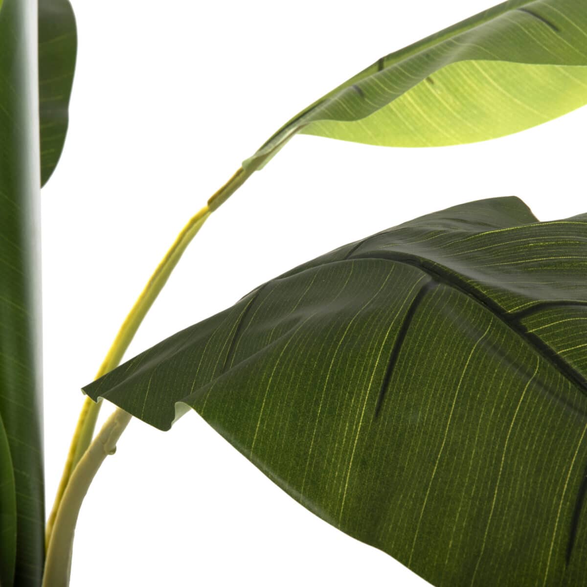 ΔΙΑΚΟΣΜΗΤΙΚΟ ΣΥΝΘΕΤΙΚΟ ΦΥΤΟ HM7979 ΔΕΝΤΡΟ ΜΠΑΝΑΝΑΣ (1) ΣΕ ΓΛΑΣΤΡΑ 180Υεκ. - Image 7