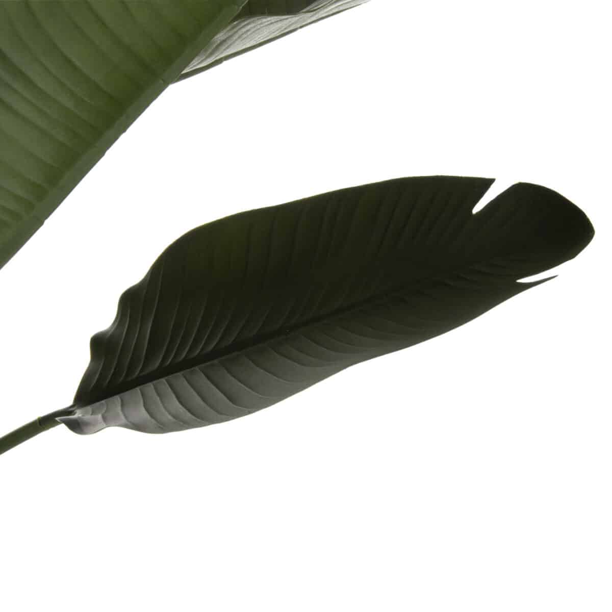 ΔΙΑΚΟΣΜΗΤΙΚΟ ΣΥΝΘΕΤΙΚΟ ΦΥΤΟ HM7981 ΣΤΡΕΛΙΤΣΙΑ ΣΕ ΓΛΑΣΤΡΑ Φ17x14,5-137Y εκ. - Image 3