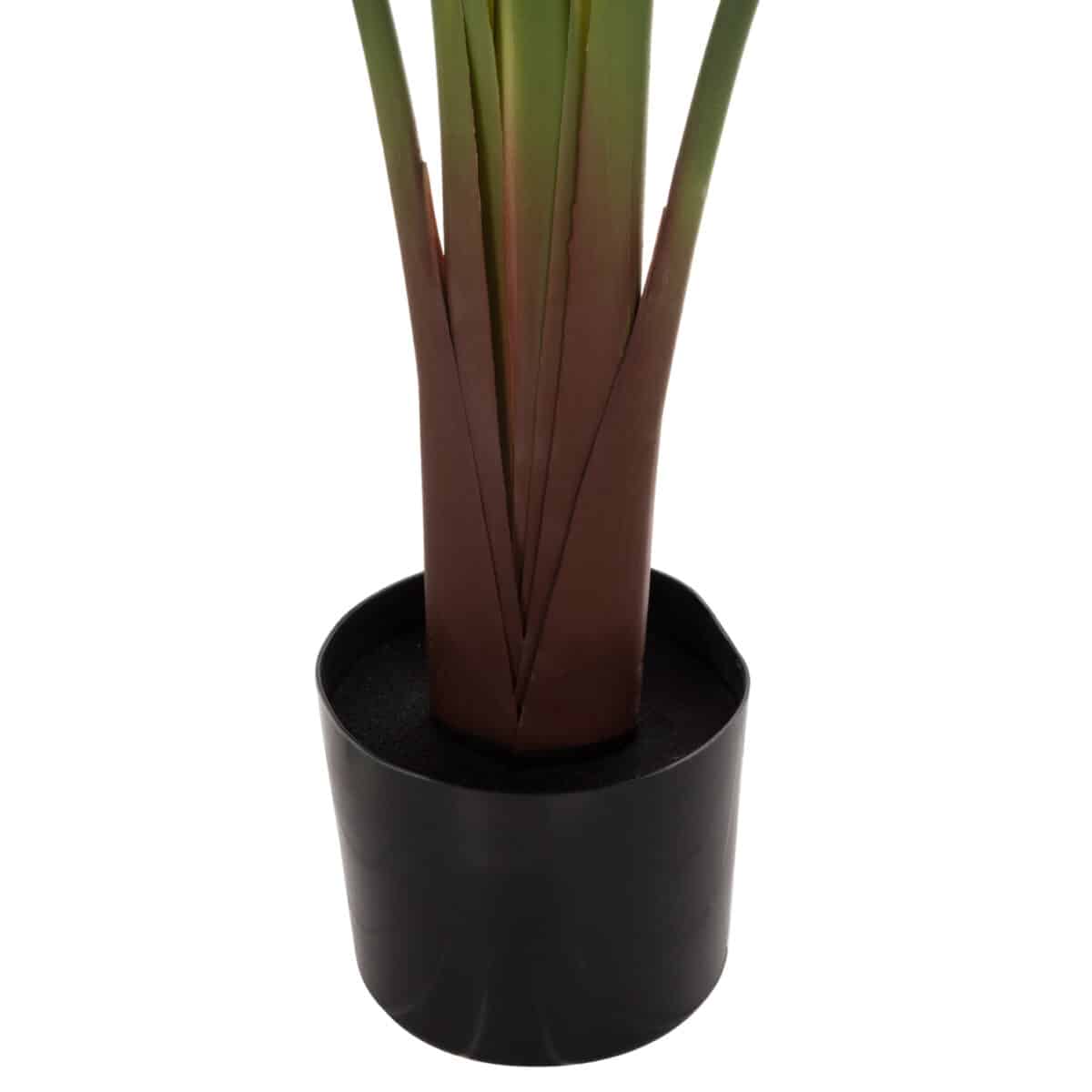 ΔΙΑΚΟΣΜΗΤΙΚΟ ΣΥΝΘΕΤΙΚΟ ΦΥΤΟ HM7982 ΣΤΡΕΛΙΤΣΙΑ ΣΕ ΓΛΑΣΤΡΑ Φ17x14,5-150Yεκ. - Image 5