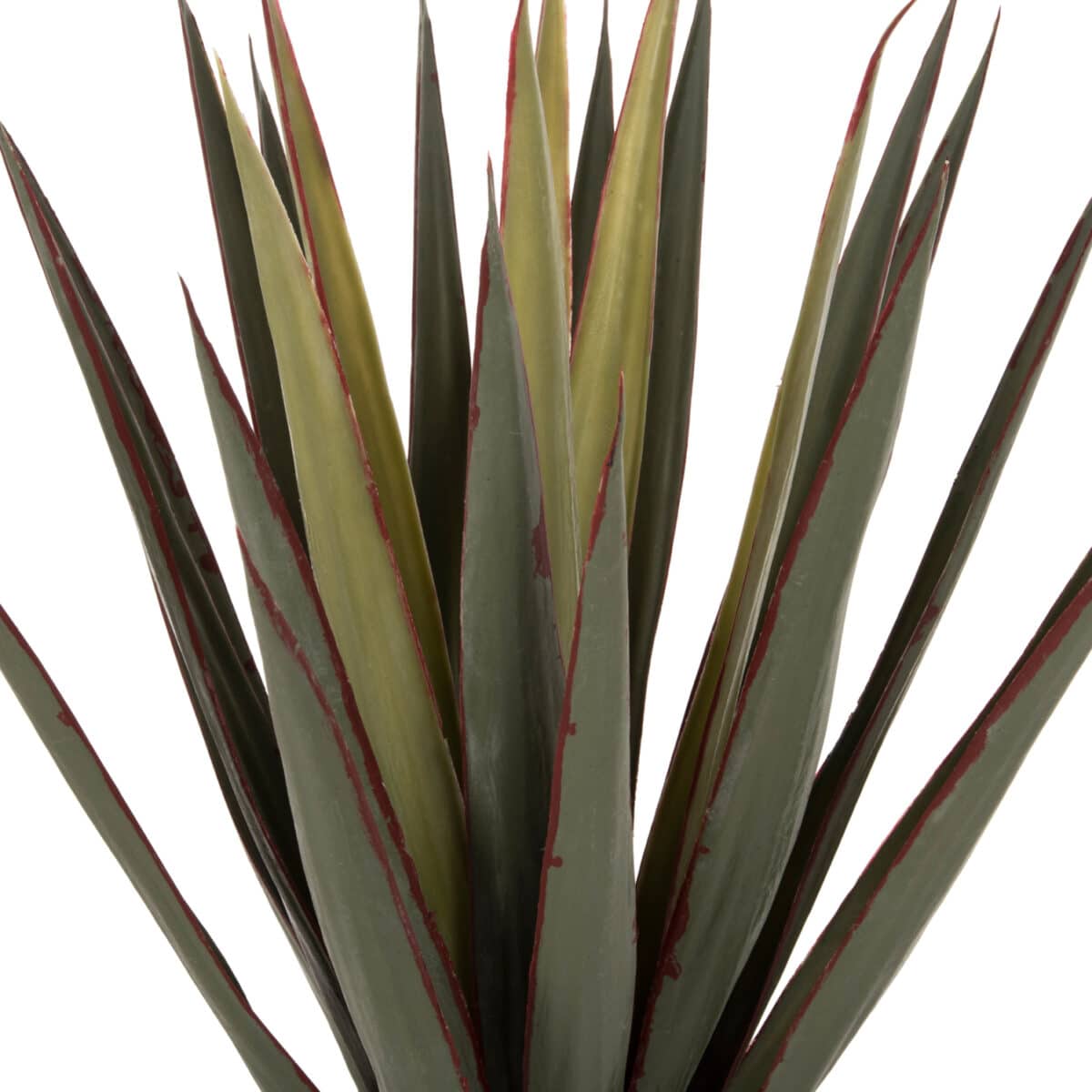 ΔΙΑΚΟΣΜΗΤΙΚΟ ΣΥΝΘΕΤΙΚΟ ΦΥΤΟ HM7985 SISAL AGAVE ΣΕ ΓΛΑΣΤΡΑ  Φ13,5x13-76Υεκ. - Image 3