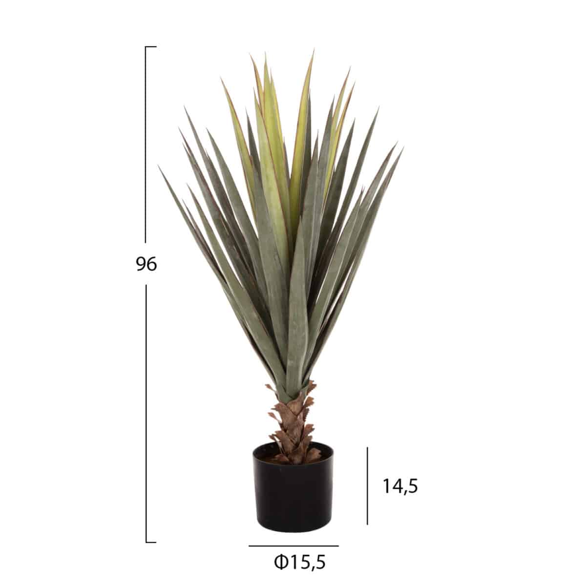 ΔΙΑΚΟΣΜΗΤΙΚΟ ΣΥΝΘΕΤΙΚΟ ΦΥΤΟ HM7986 SISAL AGAVE ΣΕ ΓΛΑΣΤΡΑ Φ15,5x14,5-96Υεκ. - Image 2