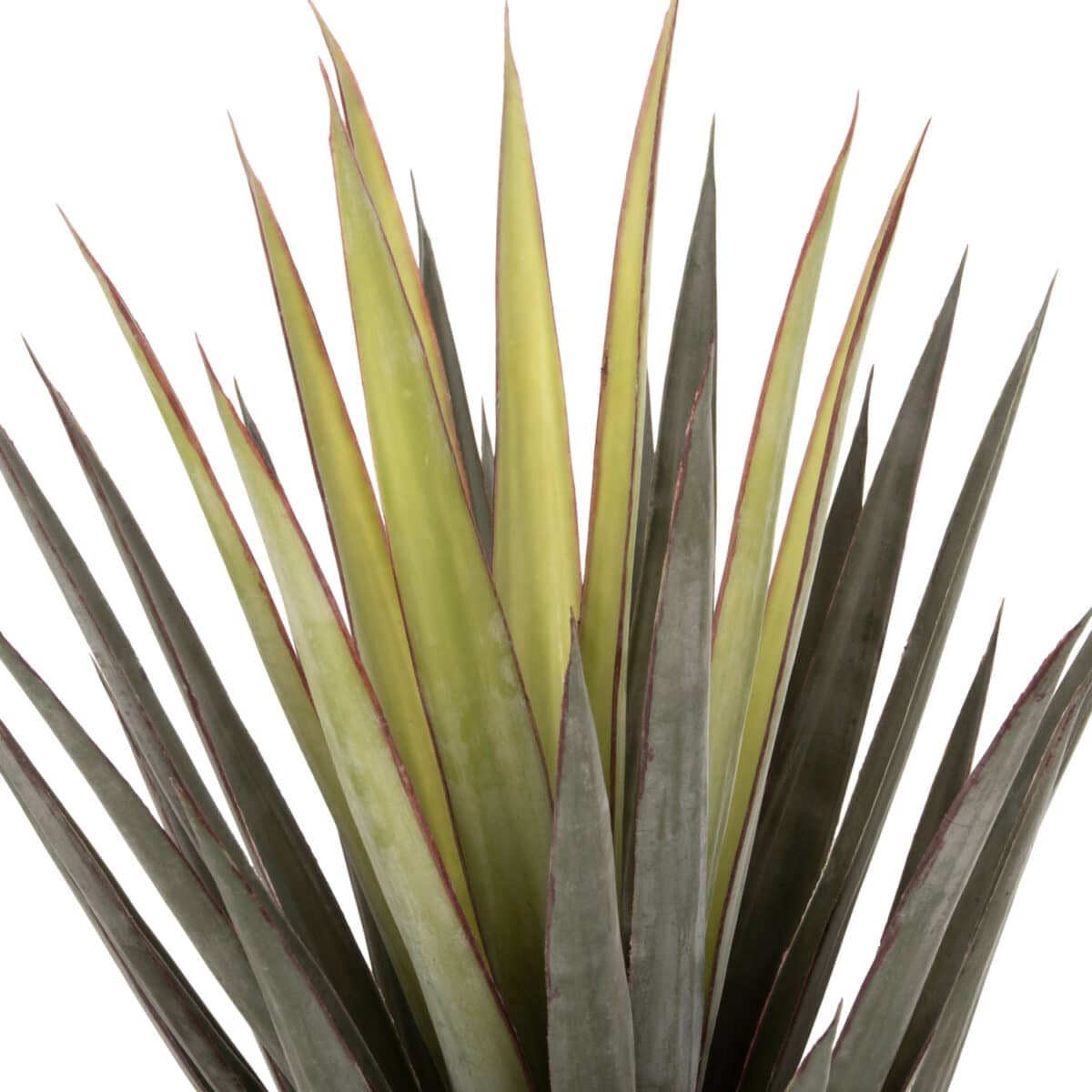 ΔΙΑΚΟΣΜΗΤΙΚΟ ΣΥΝΘΕΤΙΚΟ ΦΥΤΟ HM7986 SISAL AGAVE ΣΕ ΓΛΑΣΤΡΑ Φ15,5x14,5-96Υεκ. - Image 3