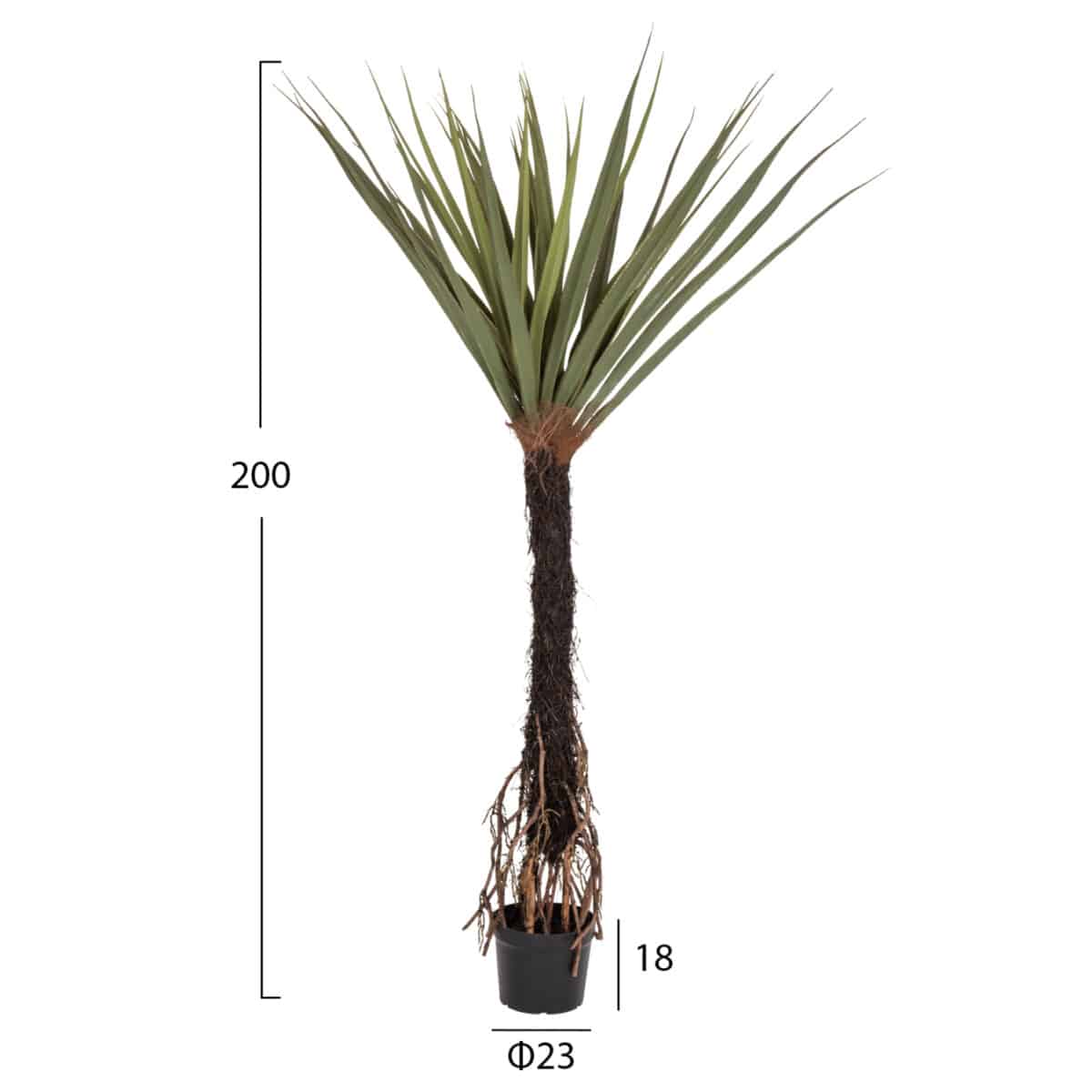 ΔΙΑΚΟΣΜΗΤΙΚΟ ΣΥΝΘΕΤΙΚΟ ΦΥΤΟ HM7989 ΔΕΝΤΡΟ SISAL ΣΕ ΓΛΑΣΤΡΑ 200Υεκ. - Image 2