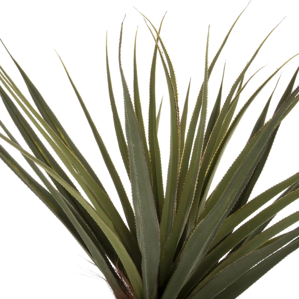 ΔΙΑΚΟΣΜΗΤΙΚΟ ΣΥΝΘΕΤΙΚΟ ΦΥΤΟ HM7989 ΔΕΝΤΡΟ SISAL ΣΕ ΓΛΑΣΤΡΑ 200Υεκ. - Image 3