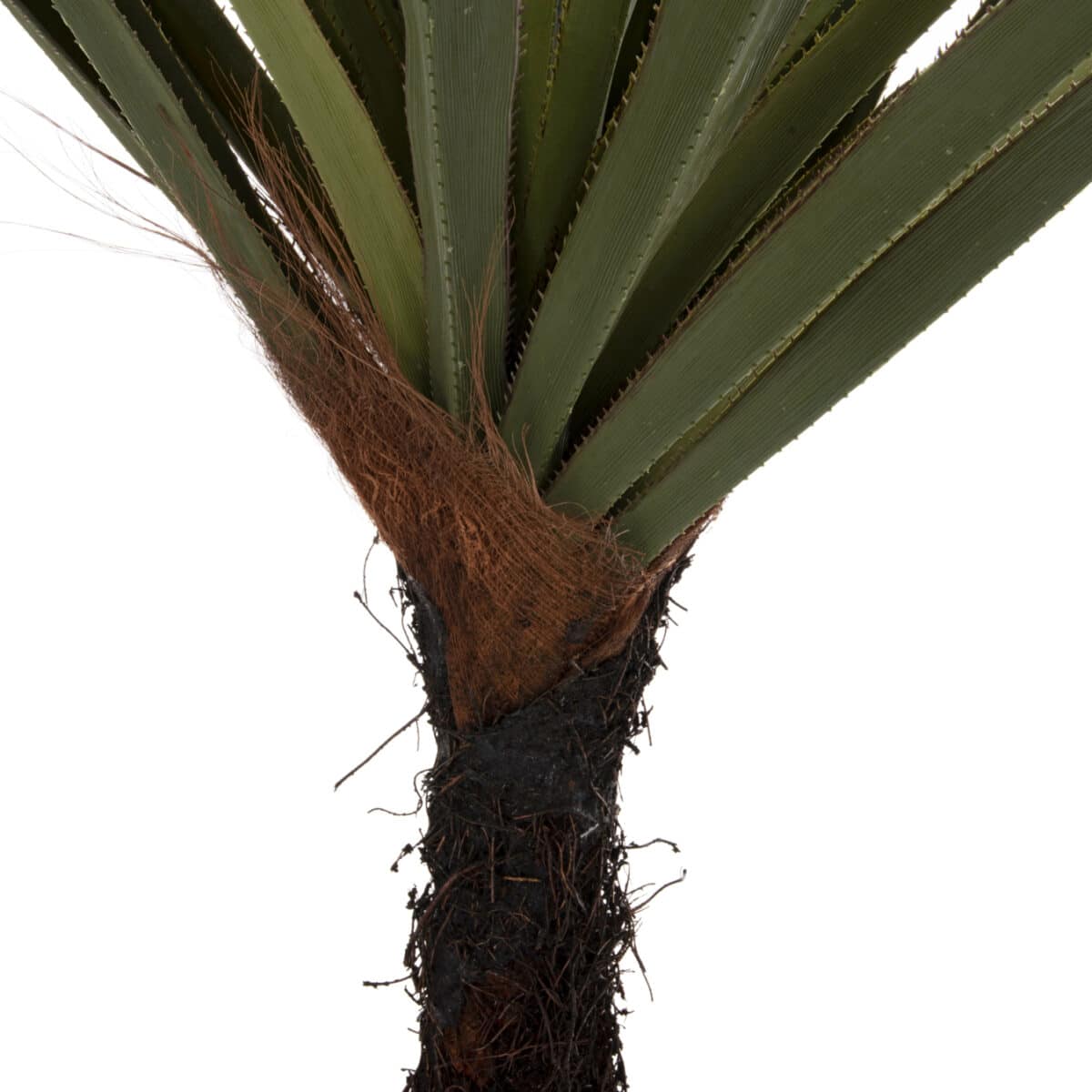 ΔΙΑΚΟΣΜΗΤΙΚΟ ΣΥΝΘΕΤΙΚΟ ΦΥΤΟ HM7989 ΔΕΝΤΡΟ SISAL ΣΕ ΓΛΑΣΤΡΑ 200Υεκ. - Image 4