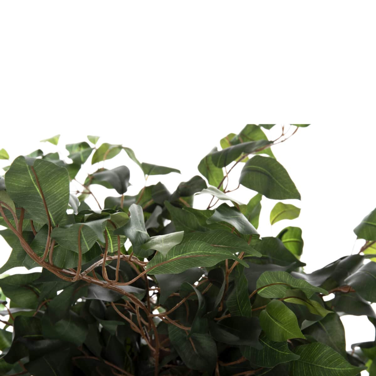 ΔΙΑΚΟΣΜΗΤΙΚΟ ΣΥΝΘΕΤΙΚΟ ΦΥΤΟ HM7992 ΔΕΝΤΡΟ ΜΠΑΝΥΑΝ ΣΕ ΓΛΑΣΤΡΑ 136Υεκ. - Image 4