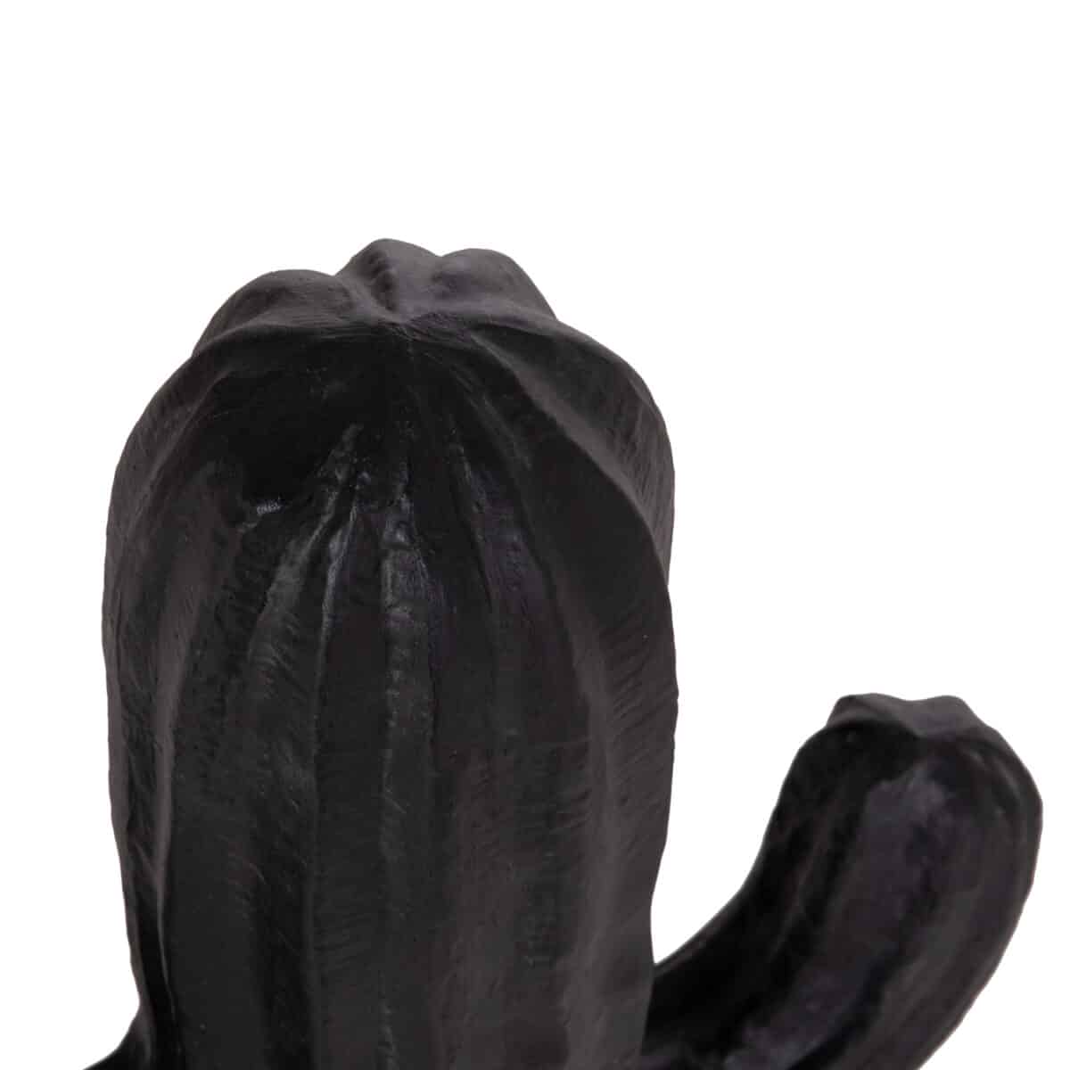 ΔΙΑΚΟΣΜΗΤΙΚΟΣ ΚΑΚΤΟΣ ΔΑΠΕΔΟΥ CACTUS HM4386.01S ΓΥΨΟΣ ΣΕ ΜΑΥΡΟ 42x30x74Υεκ. - Image 5